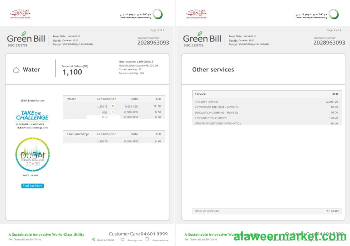UAE Dubai Electricity & Water Authority utility bill template in Word and PDF format (4 pages) 3 4